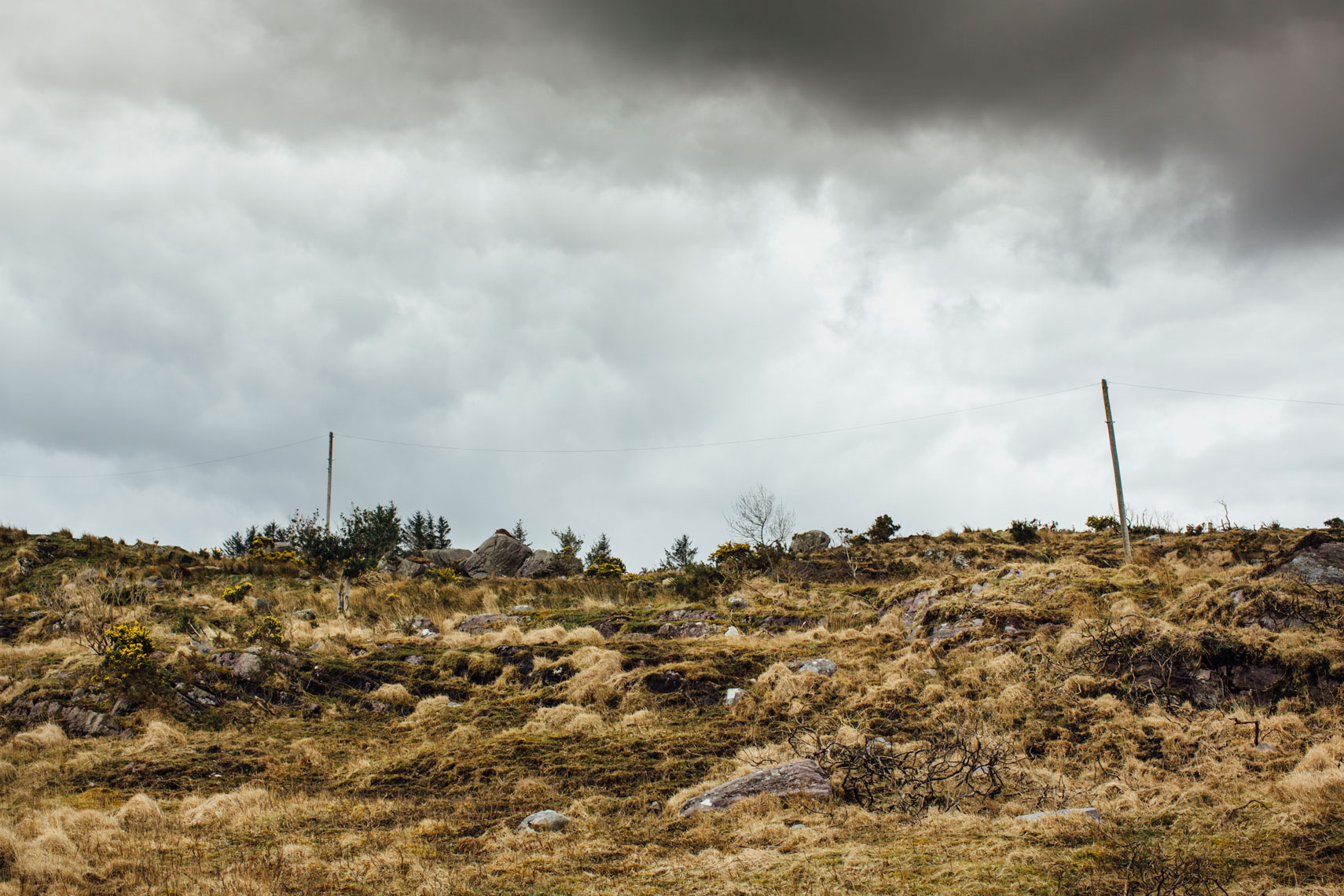 a sequence of photos that tell a story: barren farming  land in Kerry