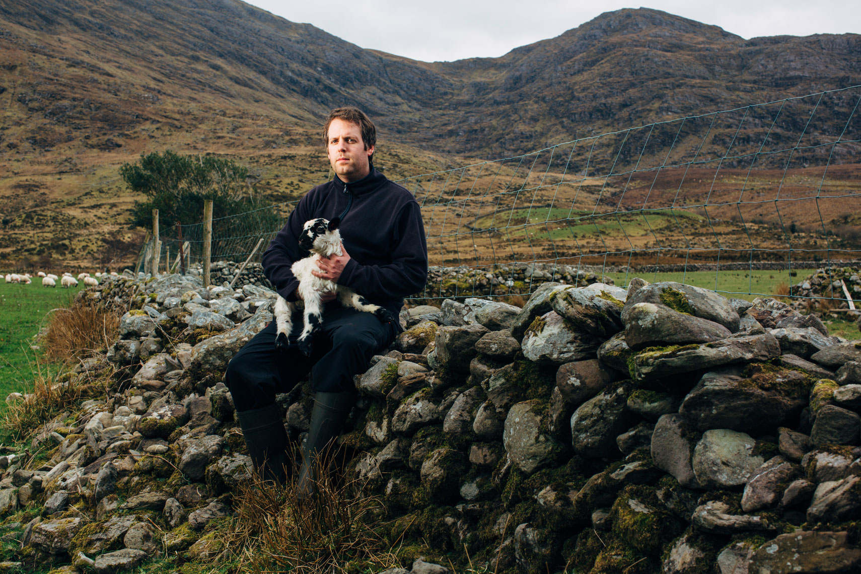 storytelling photographers: the tough life  of a  sheep farmer 