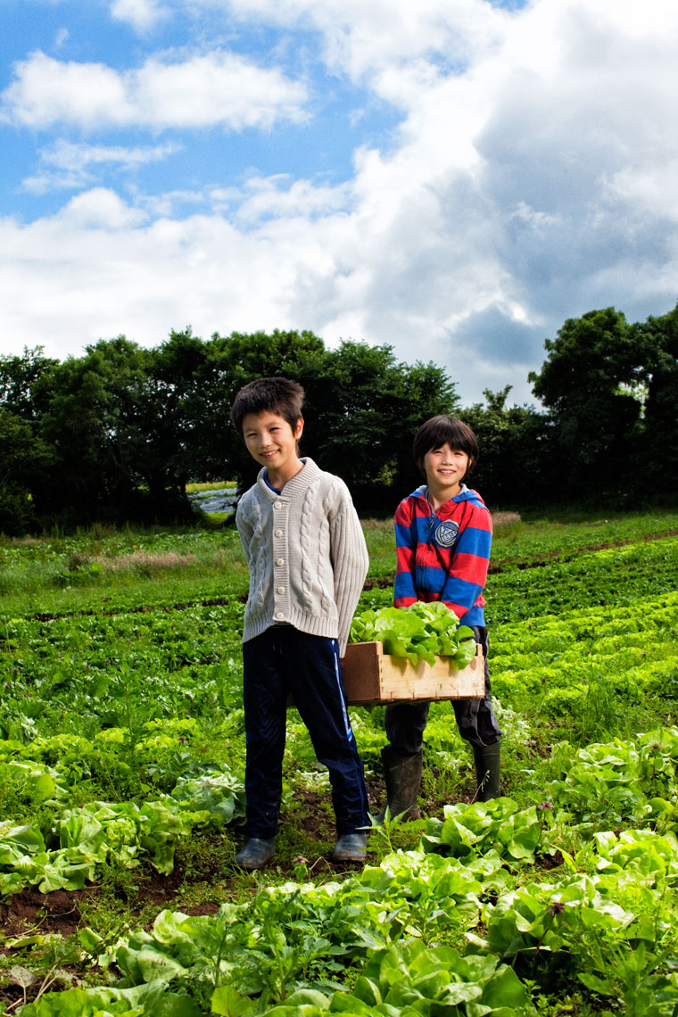 environmental photography: kids carrying crate of lettuce on farm