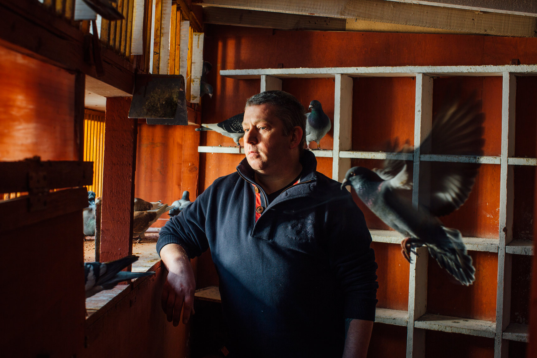 story photography: a pigeon fancier