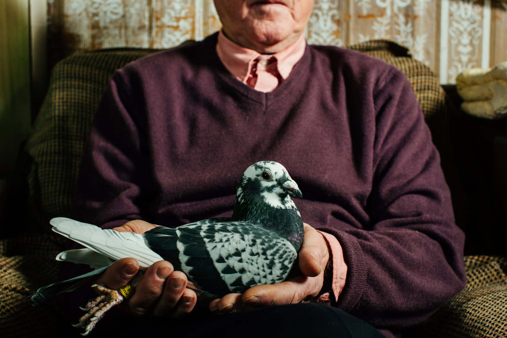 visual narrative photography: my life as a pigeon keeper